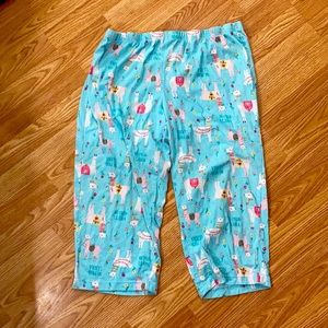 Secret treasures pajama pants